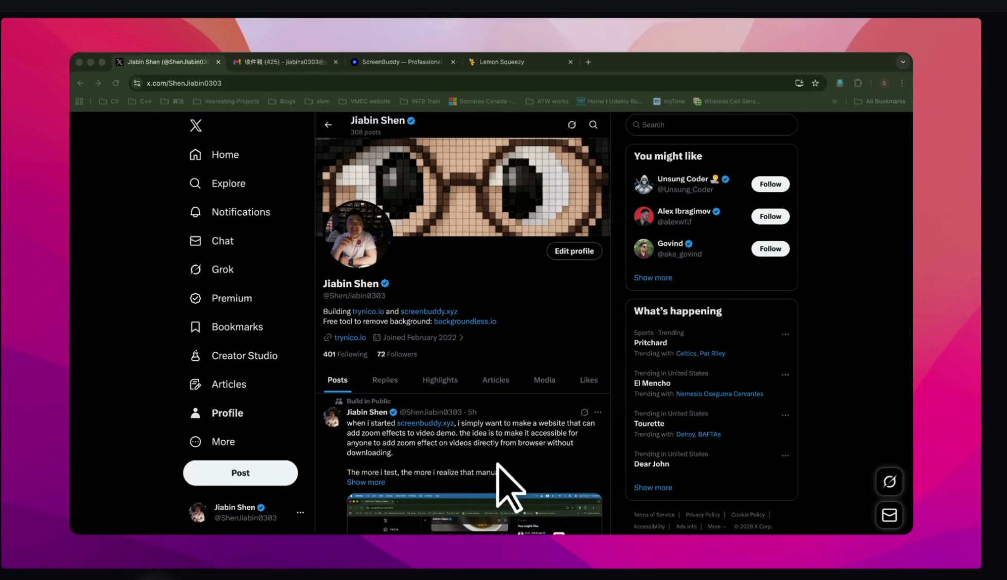 Demo of ScreenBuddy insert annotations feature